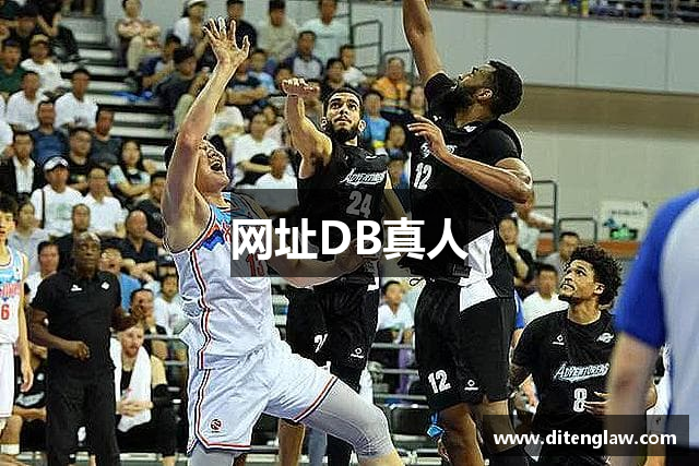 网址DB真人